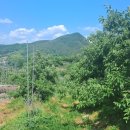 덕산면049 이미지