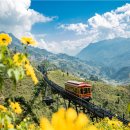 26/03/05 [베트남사파★힐링트래킹] 하노이+사파 3박5일 이미지