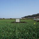 일과리 지석묘 이미지