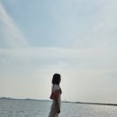 바다여행파크 | 시흥 거북섬 여행 다녀온 후기 바다 위 산책로부터 웨이브파크 서핑대회 구경까지 EMD 축제