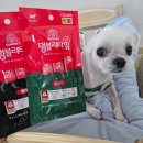 정관장 홍삼 롯데마트 서대전점