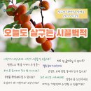 [카드뉴스] 살구 한 달, '오늘도 살구는 시끌벅적' 이미지