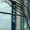 제주깜돈 | [제주도여행 3일차] 눈 왕창! 귤 왕창! 맛있는거 왕창! 왕창데이😜