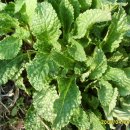 논두렁밭두렁 이미지