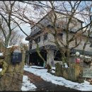 진커피숲 이미지