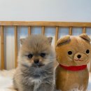 연제구-045 이미지