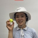 트루소프트 이미지