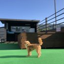 독플레이스 이미지