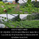 자연농장고향밥상 이미지