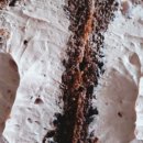 CU 행신중앙로점 이미지