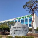 441 이미지