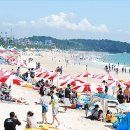 대천해수욕장 이미지