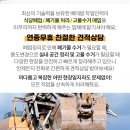 미성비철 이미지