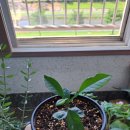 홍지농장 이미지