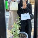 다시 뛰어가는 달