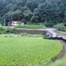 김택준행정사공인중개사사무소 네이버블로그