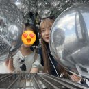 🇺🇸 미국여행 6일차 : 뉴욕의 마지막 밤 🌜(써클라인 크루즈, 써밋원더빌트,브루클린,피터루거 등)