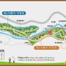 숲속야영장 이미지