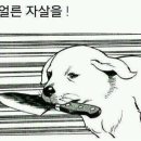꼼지락꼼지락 이미지