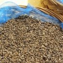 산약초 동의보감 이미지