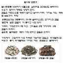 쿠팡 자연초농산 벌나무즙 🐝 내돈내산 리뷰