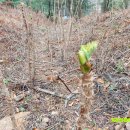 고실농장 이미지