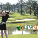 (유)바나힐 이미지