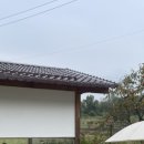 코스포덤 이미지