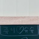 한솔 스테이 네이버블로그