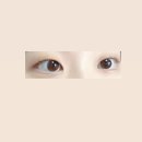 엘네일 - 춘천시 | 엘네일