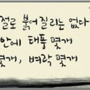 마음의 울림 이미지