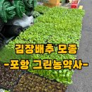 황금농약사 이미지