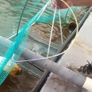 인성수산 이미지