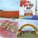 K-POP 커버댄스 | 전남 나주가볼만한곳 영산포 홍어·한우 축제 초대가수 주차장 5월 여행
