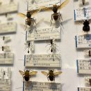 무주곤충박물관 이미지