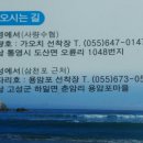 사철나무집민박