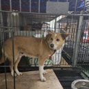 죽림산책로 공중화장실 이미지