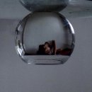 다나트립