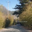 제이케이호텔 앤 리조트 (JK쉼) 이미지