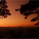 힐리언스 이미지