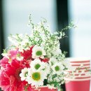 건강미약국 이미지