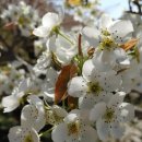 미리내 하우스 펜션 이미지