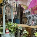 연수꽃식물원 이미지