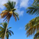 카리브의 일몰 이미지