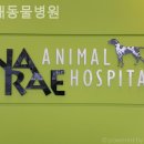 나래동물병원 이미지