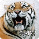 팔등로뒷고기 | 평화김해뒷고기 신정점 솔직 후기!!