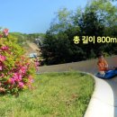 양지파인리조트 이미지