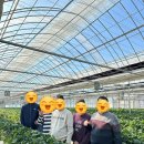 마포농원 이미지