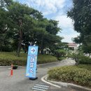 도그샤워 | 애견동반수영장 안성 도그베이 8월초 방문후기