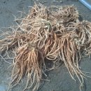 태현농장 이미지